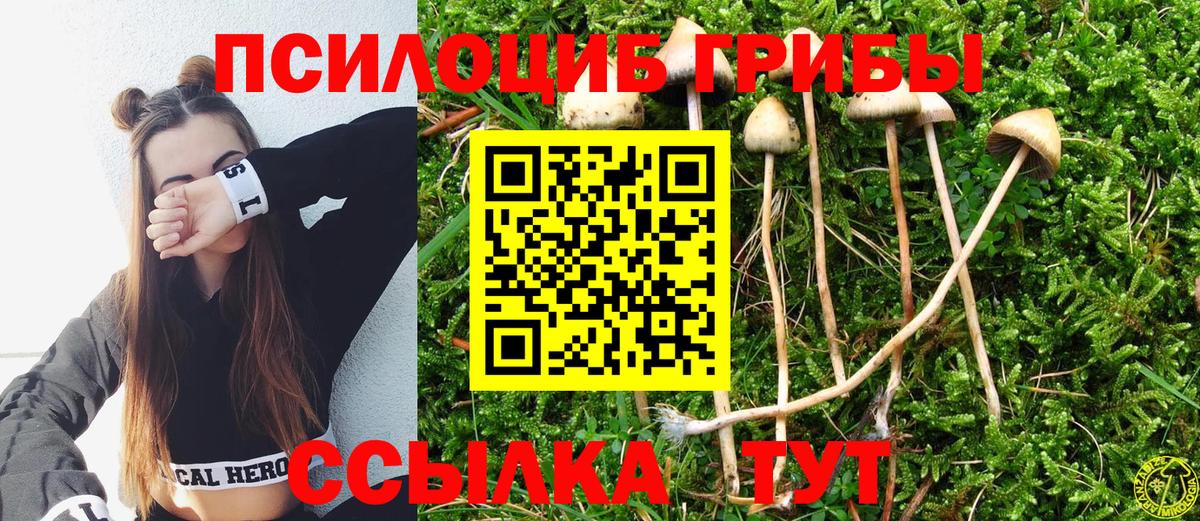 Псилоцибиновые грибы мухоморы Борзя