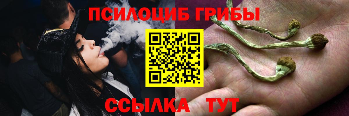 Борзя  Галлюциногенные грибы Magic Shrooms  Вход с VPN 